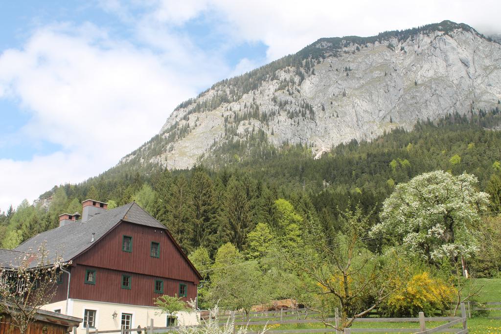 Premium Apartment Mit Privatem Whirlpool, Sauna, Garten Sankt Martin am Grimming ภายนอก รูปภาพ